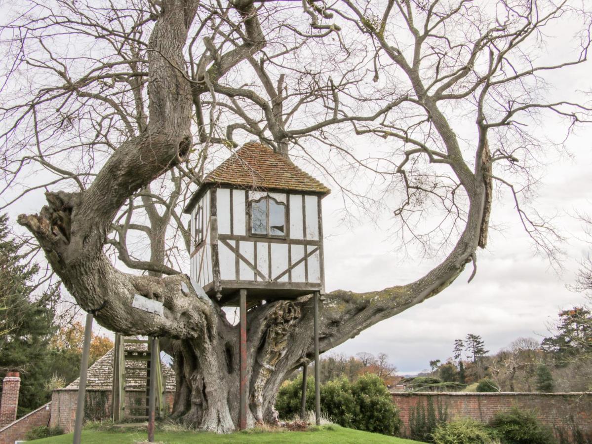 Сasa de vacaciones Tree House Barn Shrewsbury